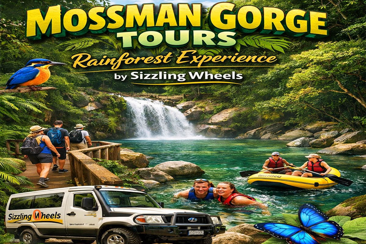 Mossman Gorge Tours | Rainforest Experience by Sizzling Wheels